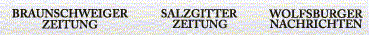 BZ-Logo