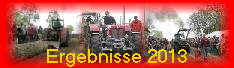 Ergebnisse 2013